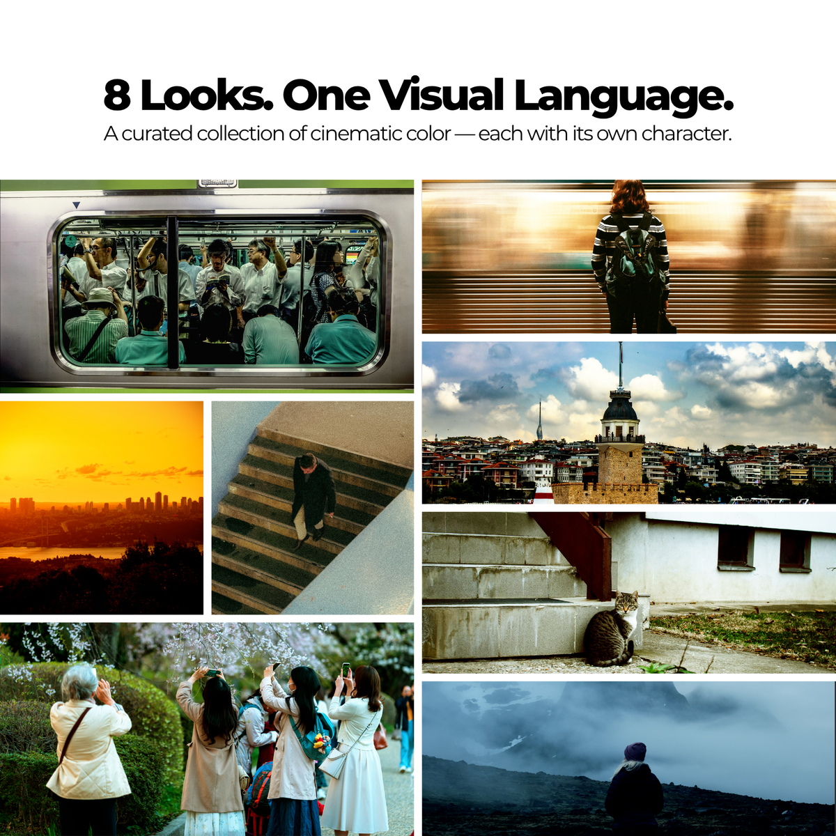 Cinematic iPhone Video LUTs